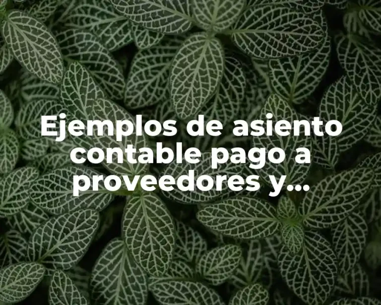 Ejemplos de asiento contable pago a proveedores y Significado