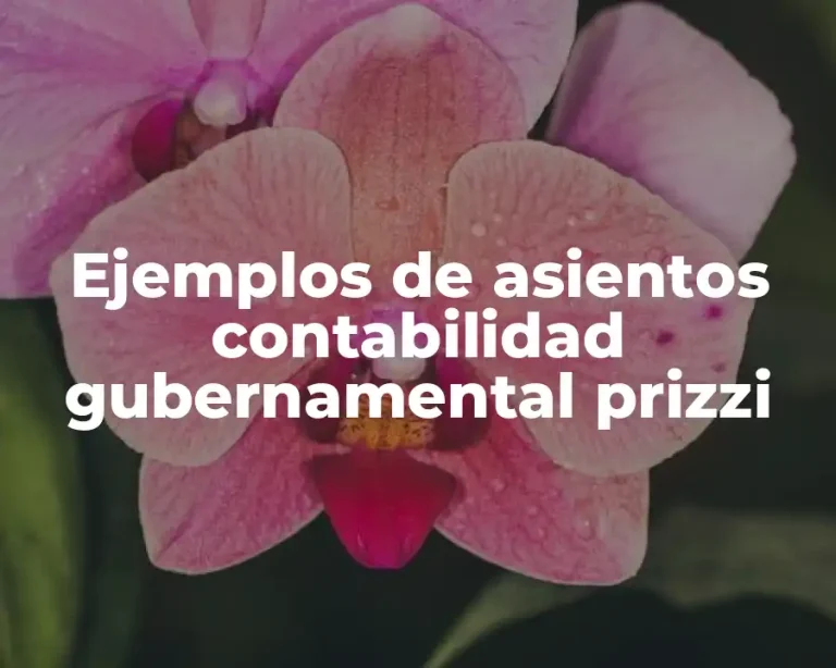Ejemplos de asientos contabilidad gubernamental prizzi