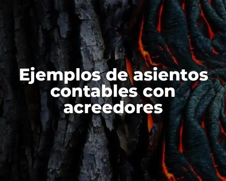 Ejemplos de asientos contables con acreedores