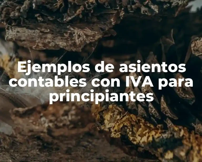 Ejemplos de asientos contables con IVA para principiantes