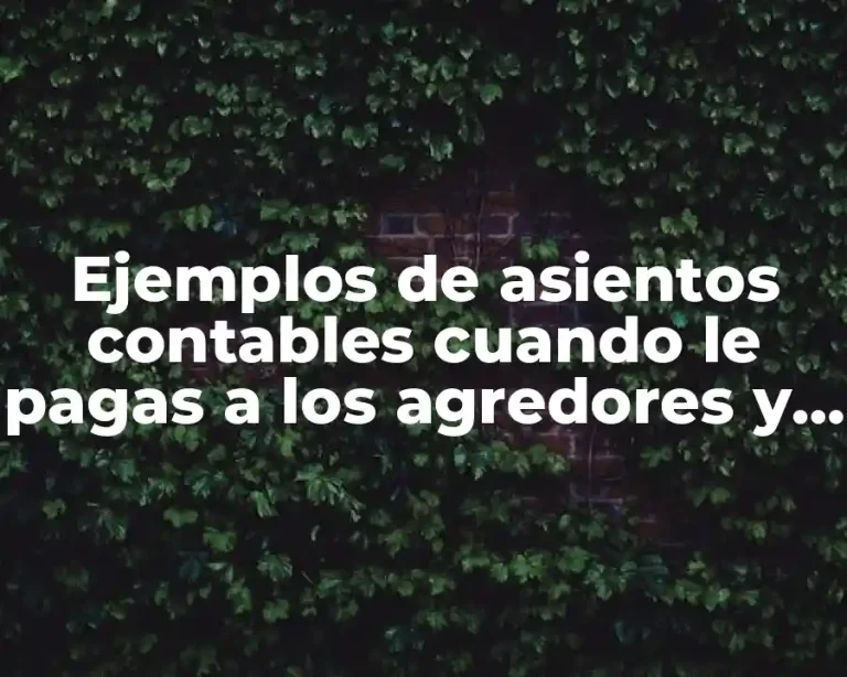 Ejemplos de asientos contables cuando le pagas a los agredores y Significado