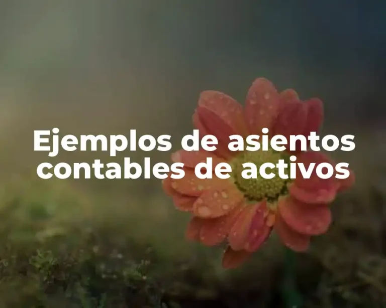 Ejemplos de asientos contables de activos