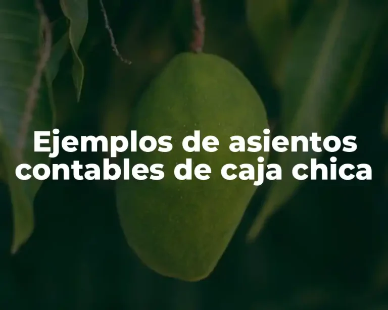 Ejemplos de asientos contables de caja chica