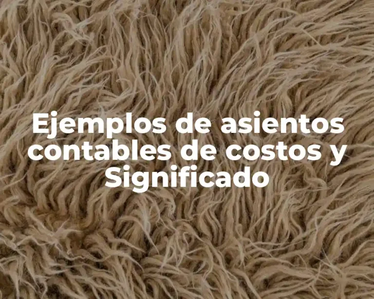 Ejemplos de asientos contables de costos y Significado