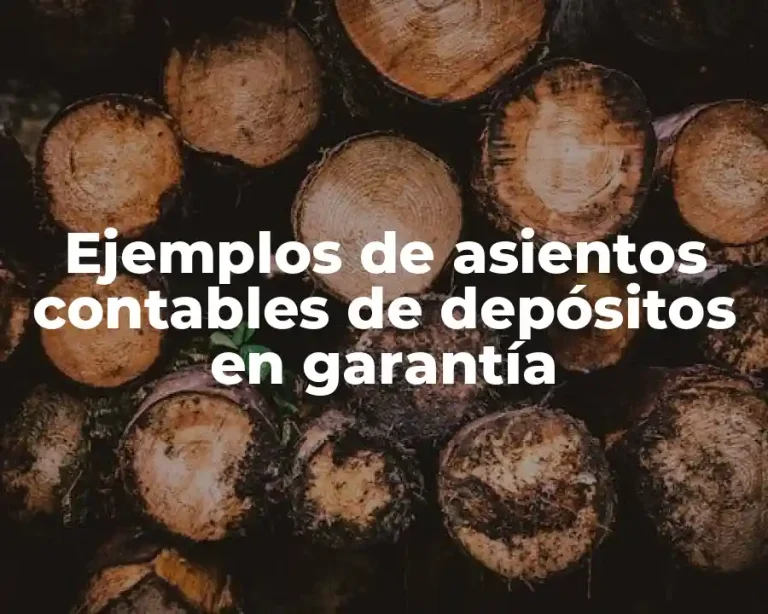 Ejemplos de asientos contables de depósitos en garantía