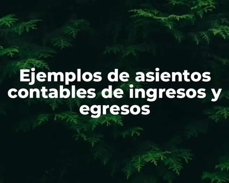 Ejemplos de asientos contables de ingresos y egresos