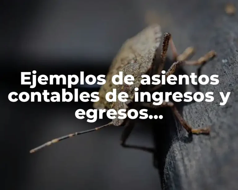 Ejemplos de asientos contables de ingresos y egresos gubernamentales y Significado