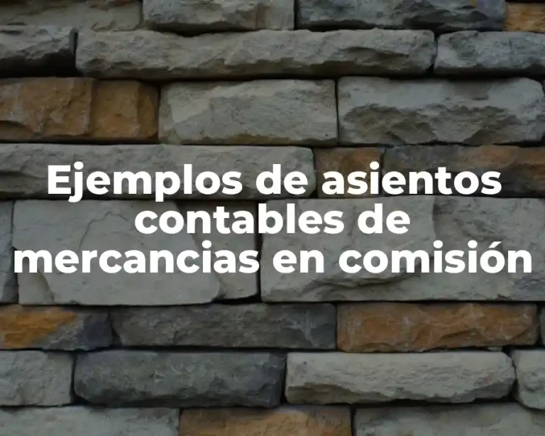 Ejemplos de asientos contables de mercancias en comisión