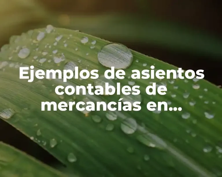 Ejemplos de asientos contables de mercancías en consignación