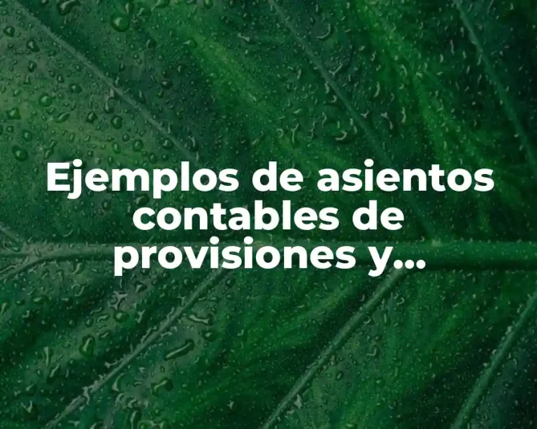 Ejemplos de asientos contables de provisiones y Significado