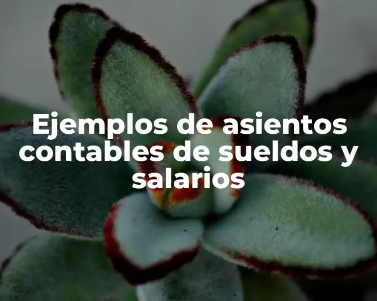 Ejemplos de asientos contables de sueldos y salarios