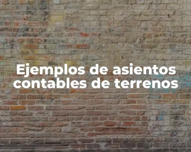 Ejemplos de asientos contables de terrenos