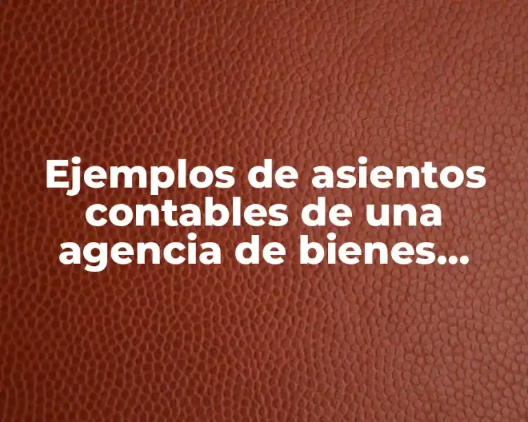 Ejemplos de asientos contables de una agencia de bienes raíces y Significado
