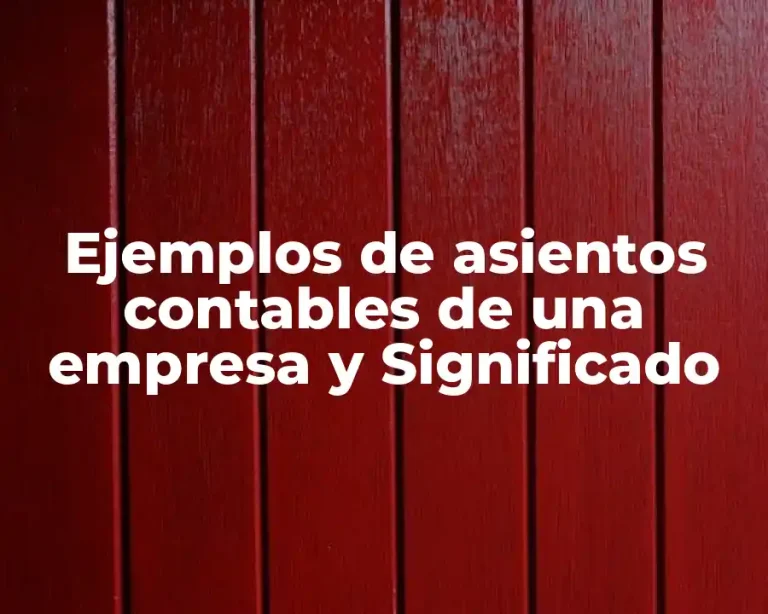 Ejemplos de asientos contables de una empresa y Significado