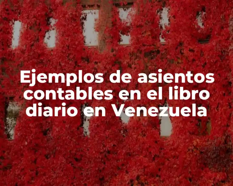Ejemplos de asientos contables en el libro diario en Venezuela