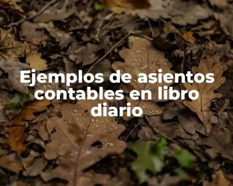 Ejemplos de asientos contables en libro diario