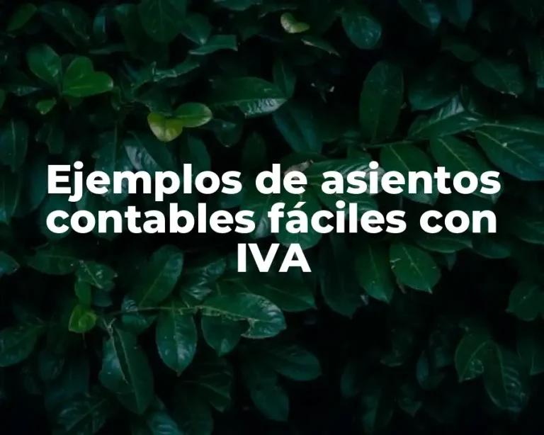 Ejemplos de asientos contables fáciles con IVA