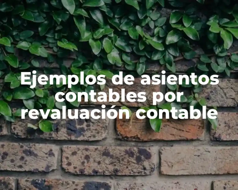 Ejemplos de asientos contables por revaluación contable