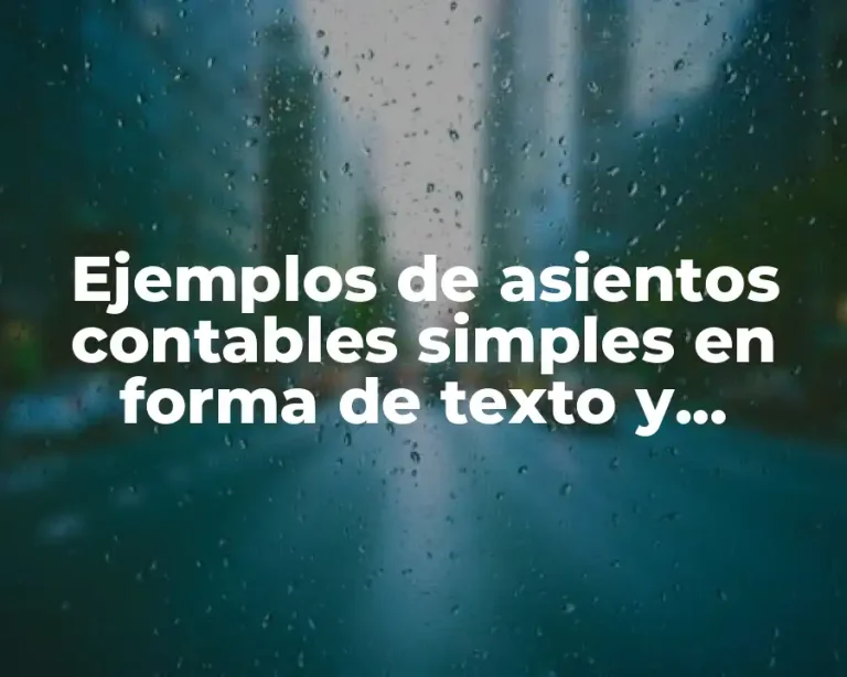 Ejemplos de asientos contables simples en forma de texto y Significado