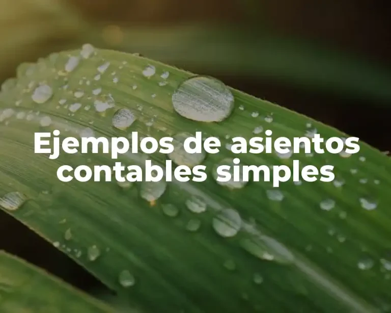 Ejemplos de asientos contables simples