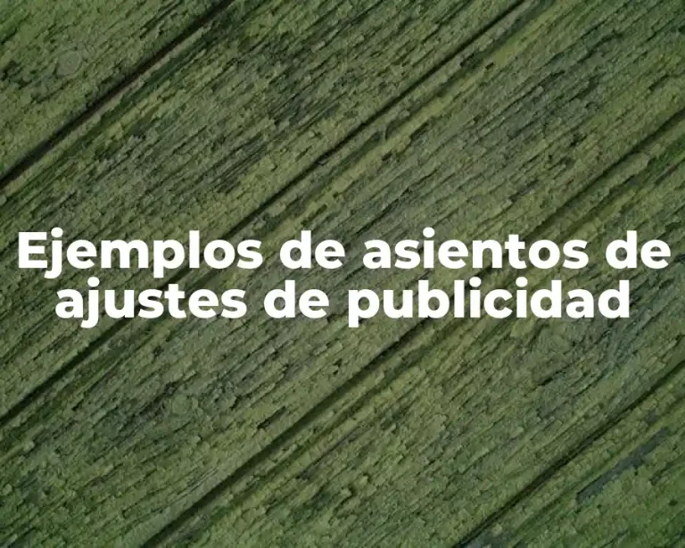 Ejemplos de asientos de ajustes de publicidad