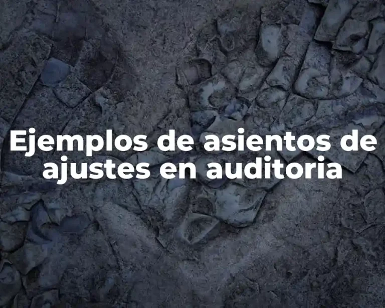 Ejemplos de asientos de ajustes en auditoria