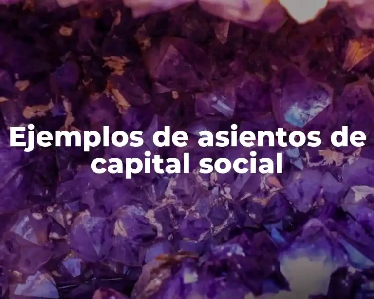 Ejemplos de asientos de capital social