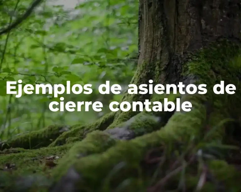 Ejemplos de asientos de cierre contable