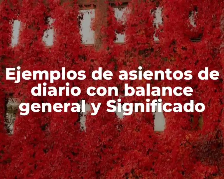 Ejemplos de asientos de diario con balance general y Significado