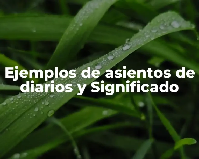 Ejemplos de asientos de diarios y Significado