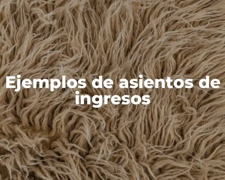 Ejemplos de asientos de ingresos