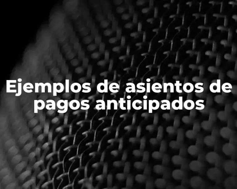 Ejemplos de asientos de pagos anticipados