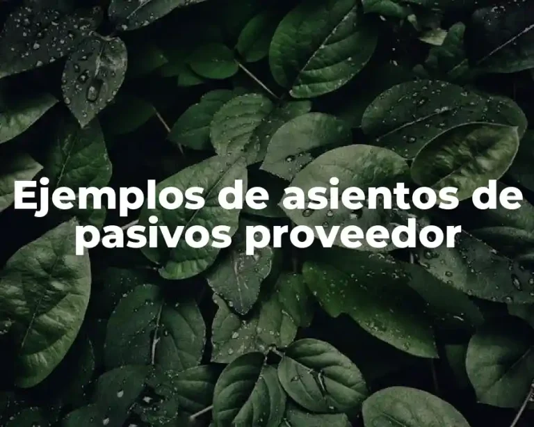 Ejemplos de asientos de pasivos proveedor