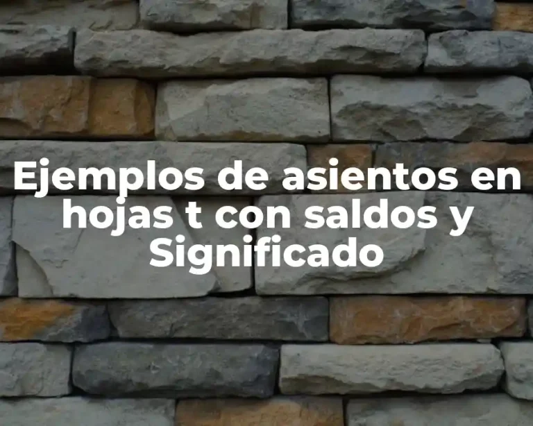 Ejemplos de asientos en hojas t con saldos y Significado