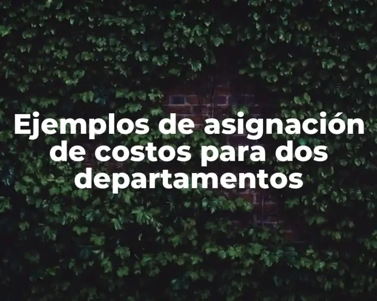 Ejemplos de asignación de costos para dos departamentos