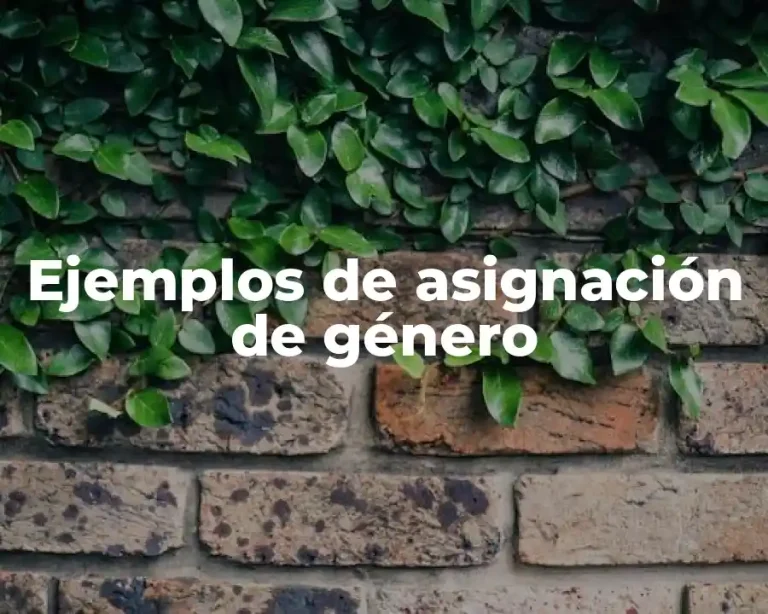 Ejemplos de asignación de género