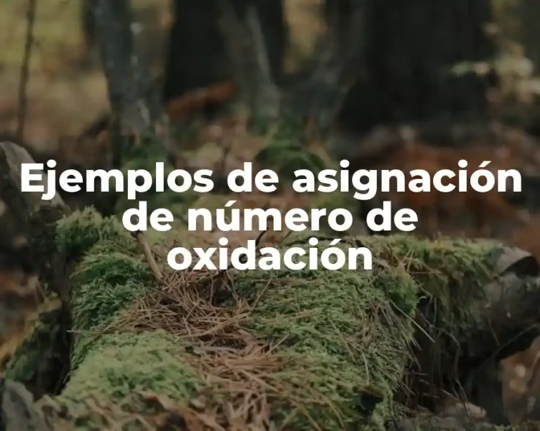 Ejemplos de asignación de número de oxidación