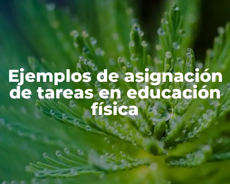 Ejemplos de asignación de tareas en educación física