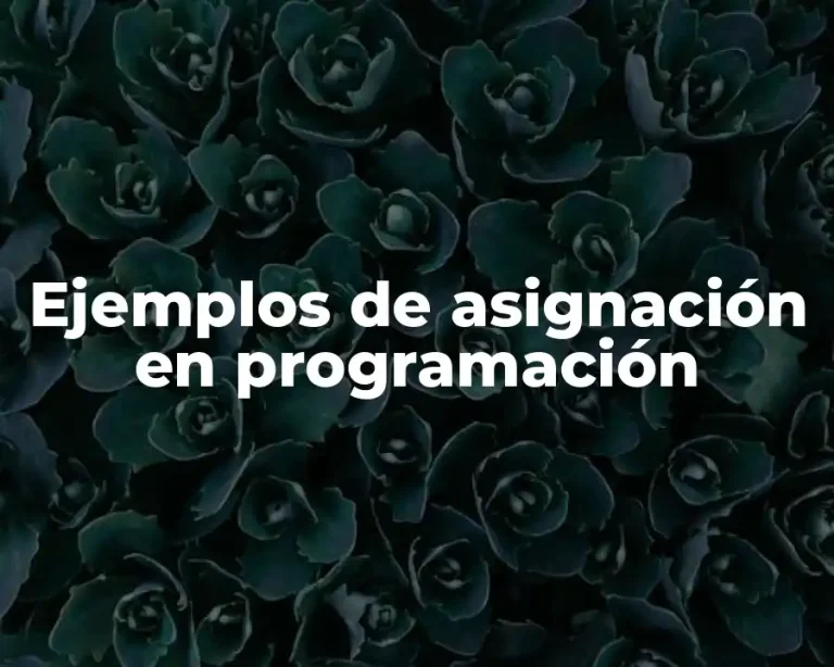 Ejemplos de asignación en programación