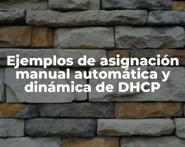 Ejemplos de asignación manual automática y dinámica de DHCP