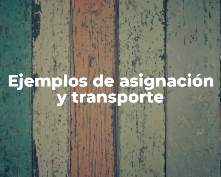 Ejemplos de asignación y transporte
