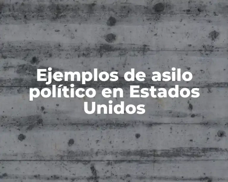 Ejemplos de asilo político en Estados Unidos