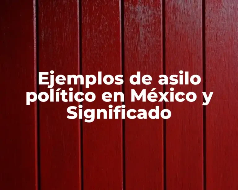 Ejemplos de asilo político en México y Significado