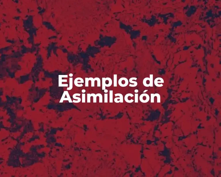 Ejemplos de Asimilación