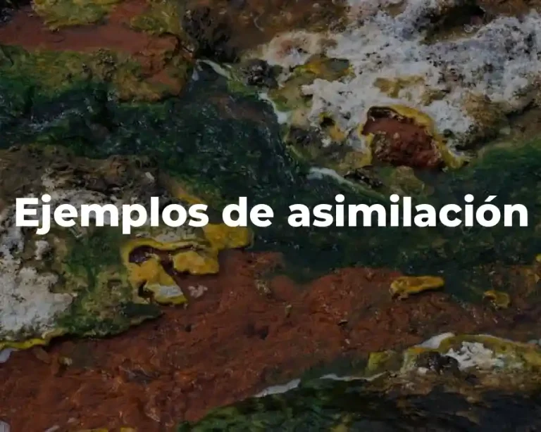 Ejemplos de asimilación