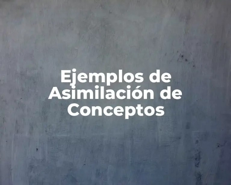 Ejemplos de Asimilación de Conceptos