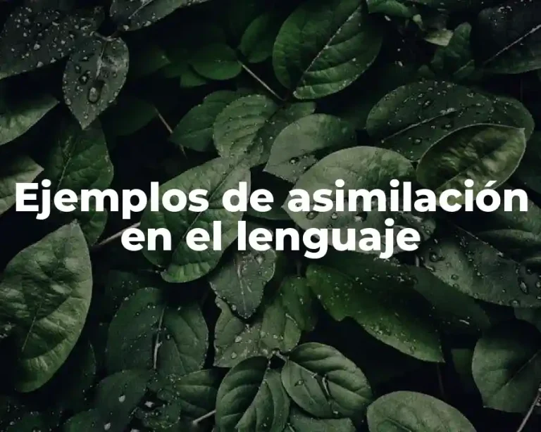 Ejemplos de asimilación en el lenguaje