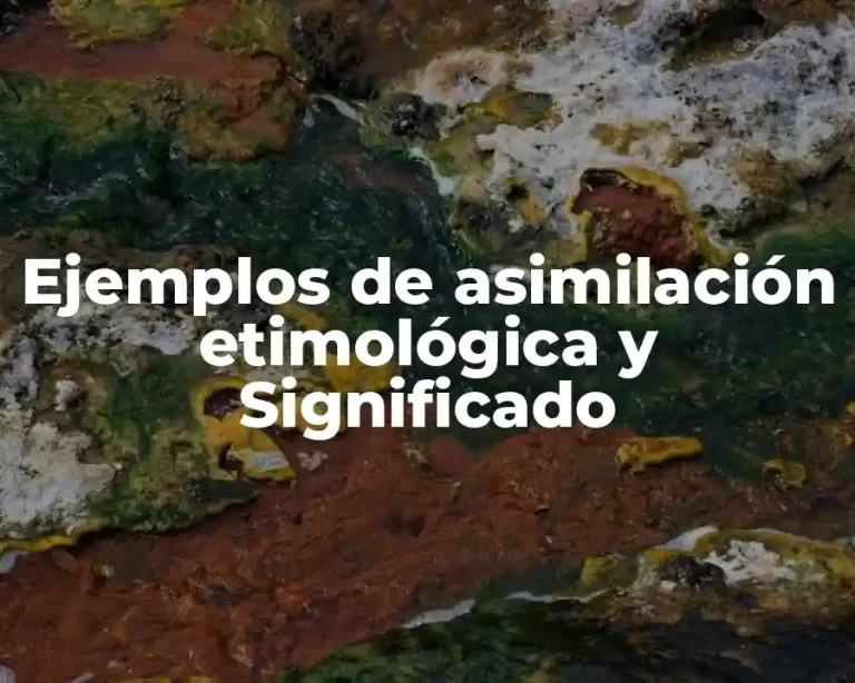 Ejemplos de asimilación etimológica y Significado