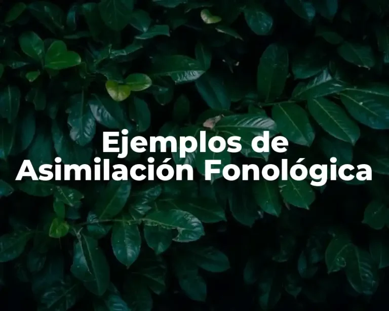 Ejemplos de Asimilación Fonológica