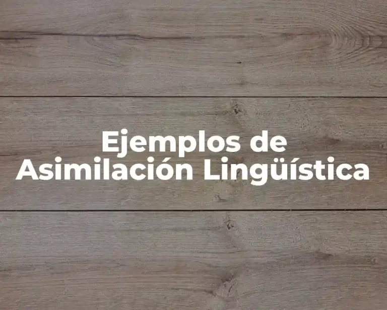 Ejemplos de Asimilación Lingüística